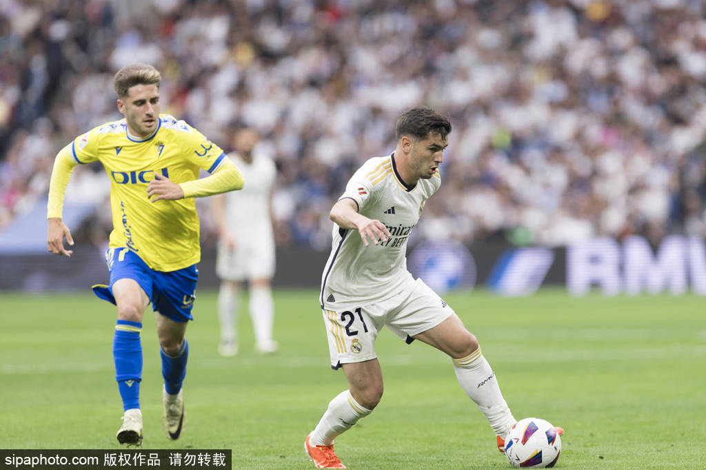 疑是笔宝贵 疑是笔宝贵